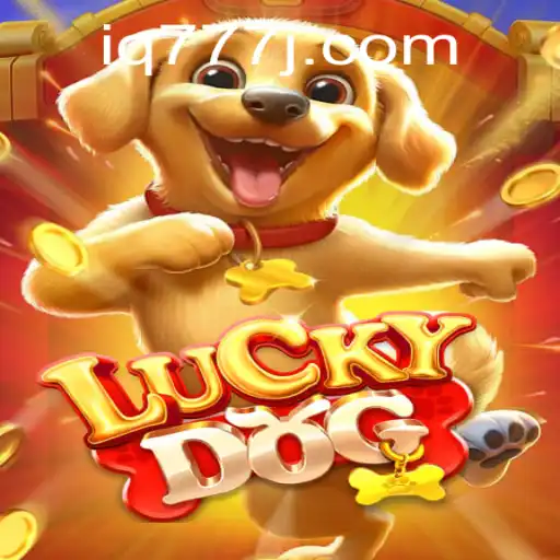 Discovering the Thrills of LuckyDog: The Ultimate IQ777 Adventure